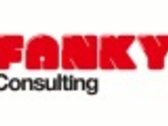 FANKY CONSULTING